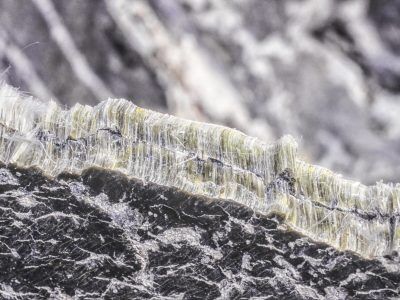 chrysotile asbestos