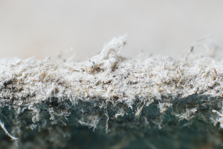 close up image of asbestos. Exposure leads to mesothelioma